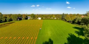 Robot sam wykonuje pracę