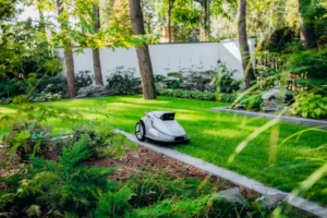 Robot koszący na zadbanym przydomowym trawniku.